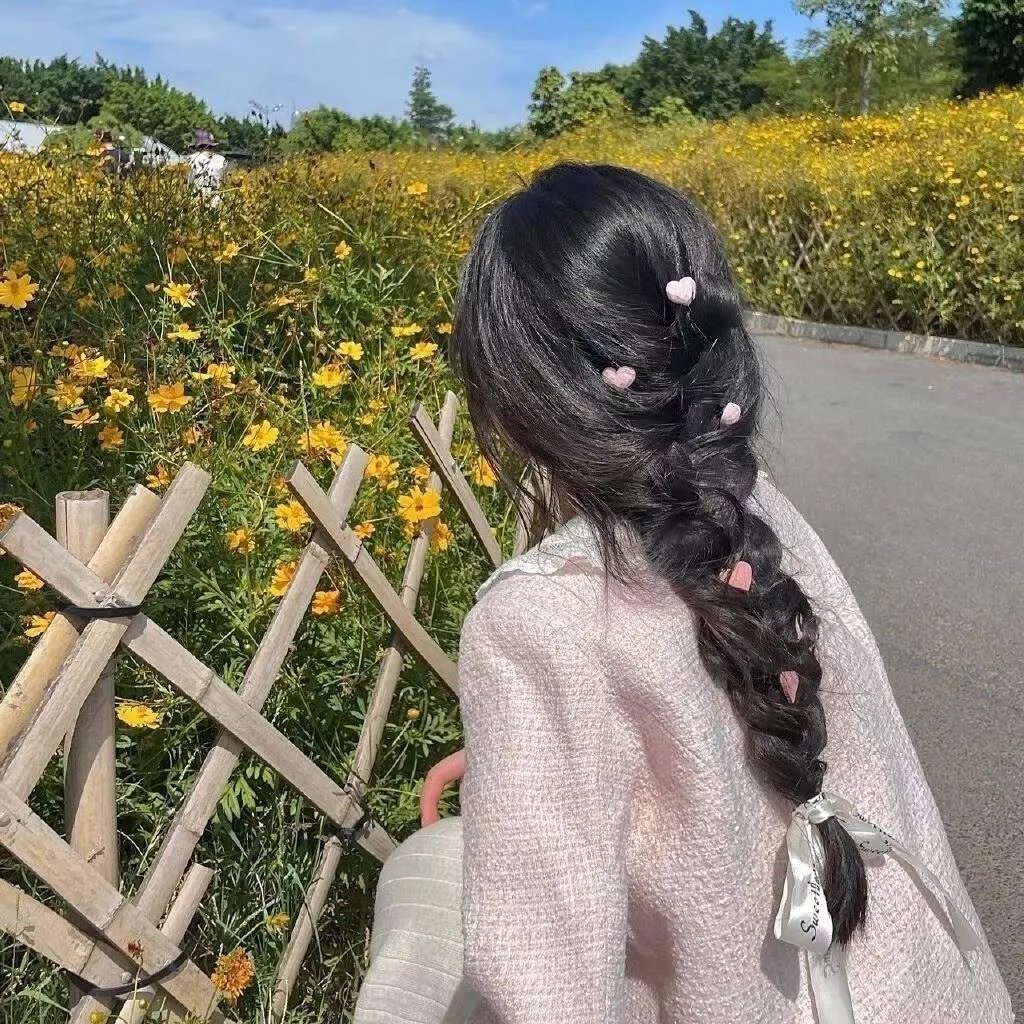 双子座计划